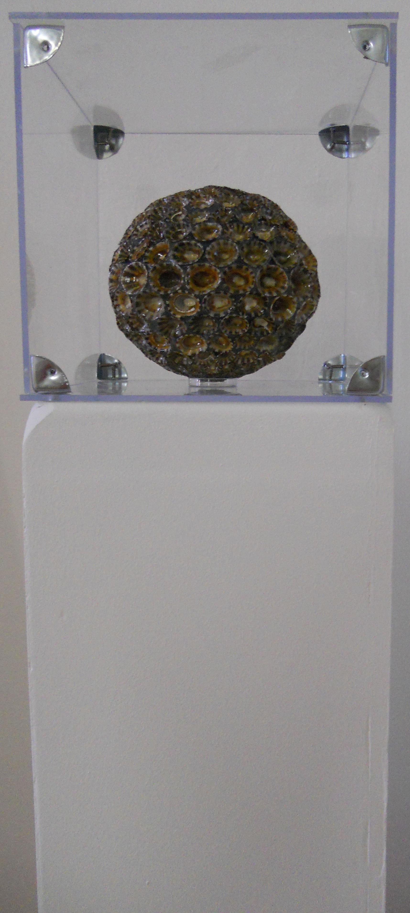 MW 06 (Hohe Aufl&ouml;sung)